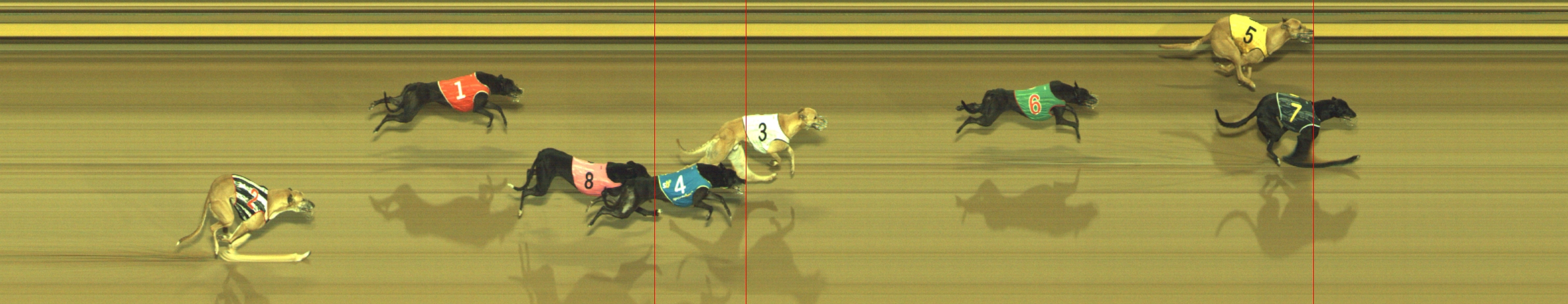 Photo finish for Geelong Race 4