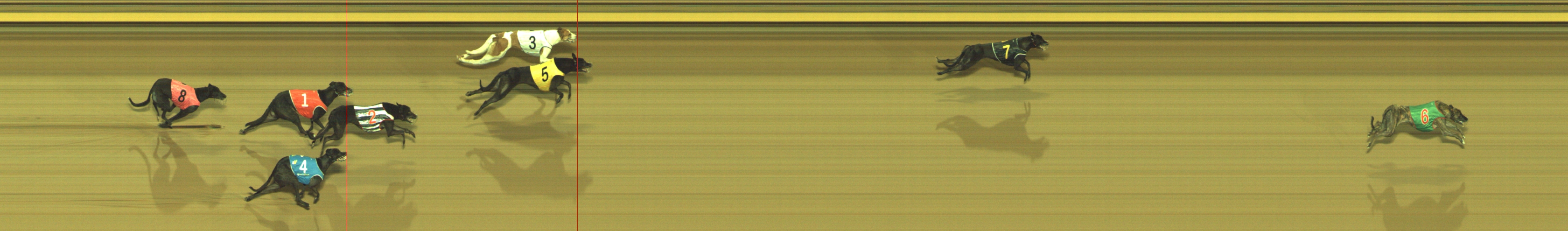 Photo finish for Geelong Race 5