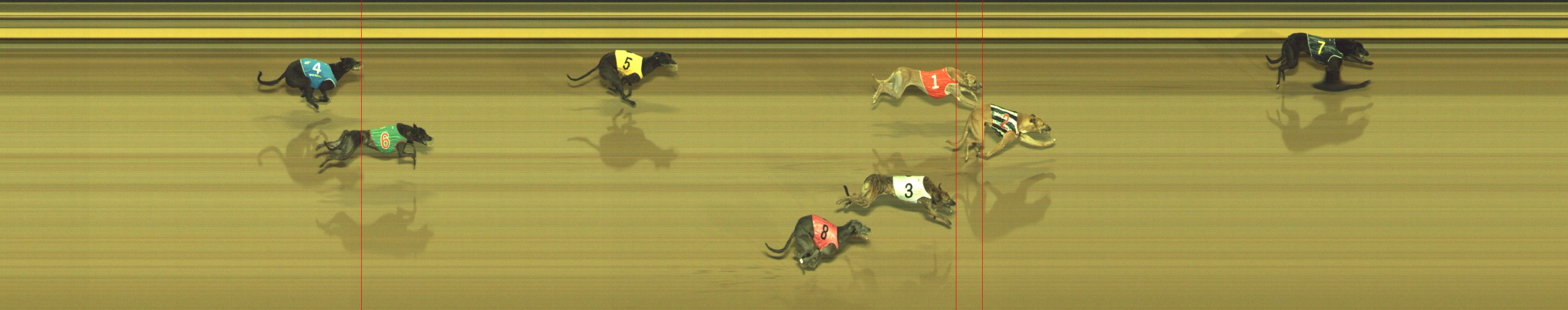 Photo finish for Geelong Race 6