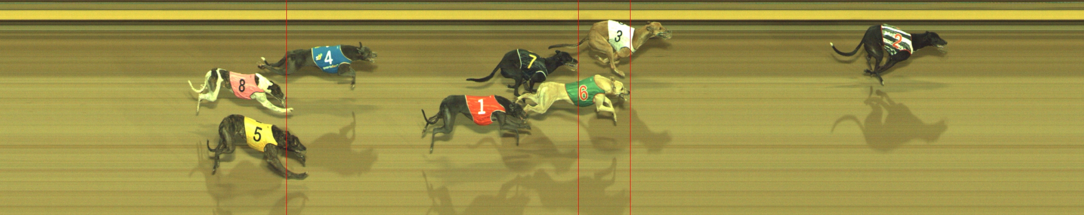 Photo finish for Geelong Race 7