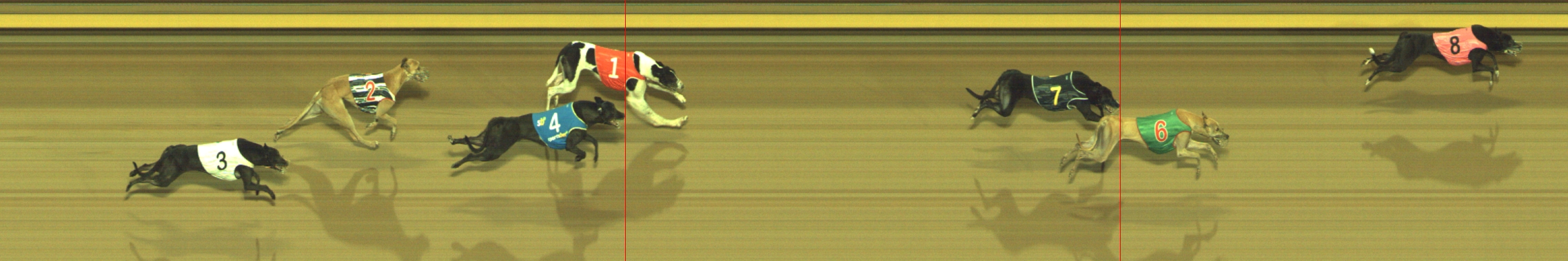 Photo finish for Geelong Race 10