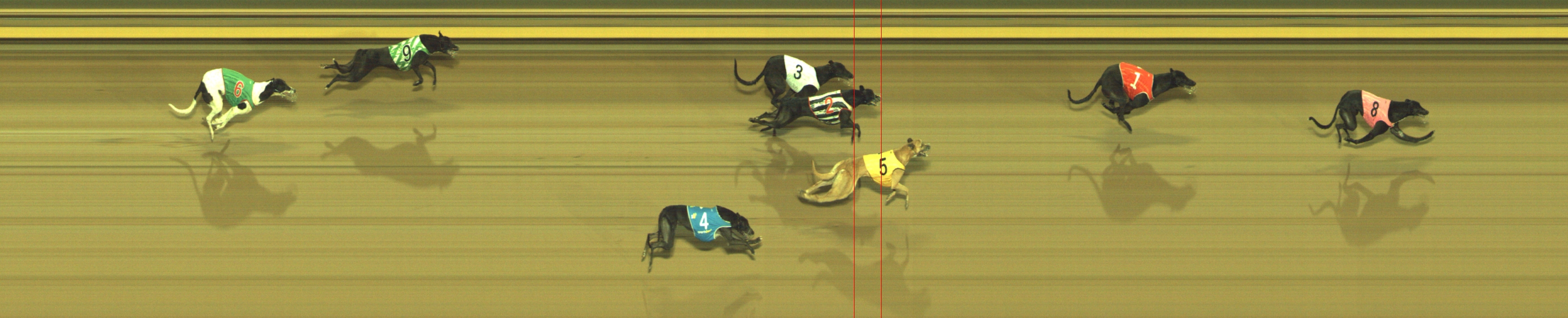 Photo finish for Geelong Race 11
