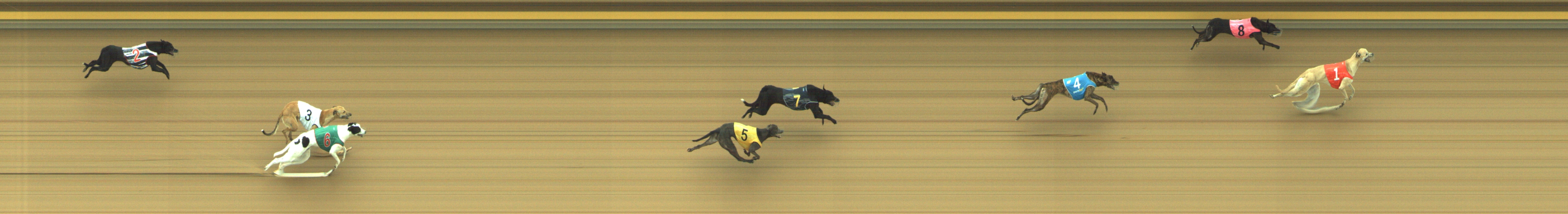 Photo finish for Geelong Race 1