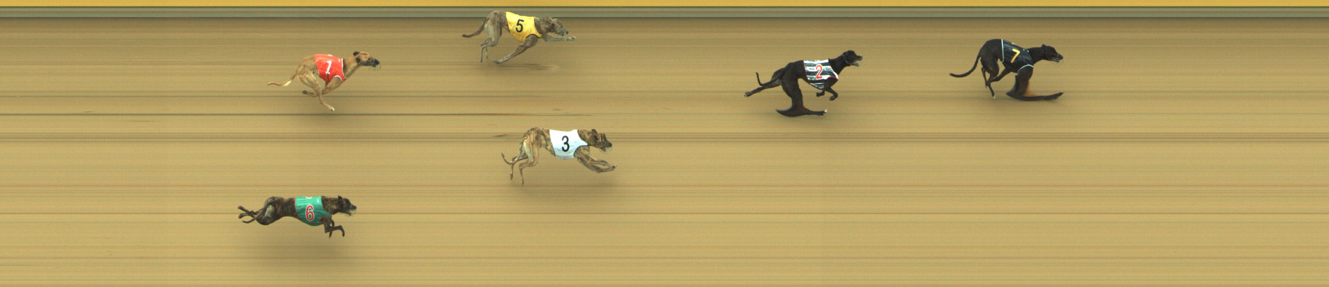 Photo finish for Geelong Race 2