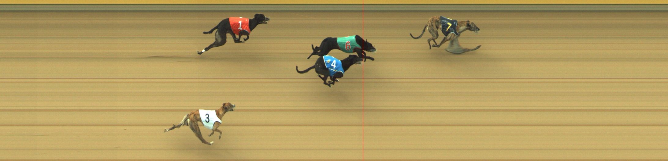 Photo finish for Geelong Race 3