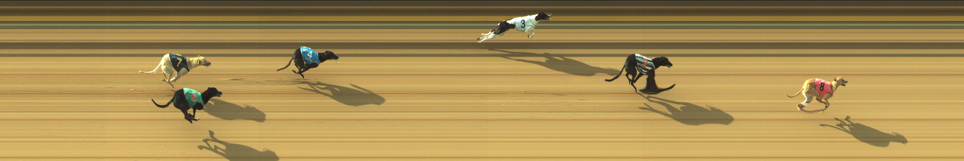 Photo finish for Geelong Race 4