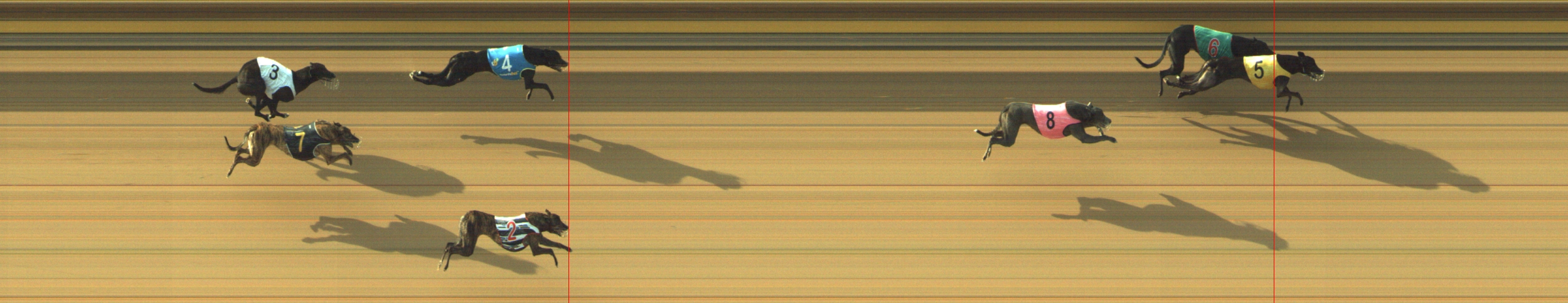 Photo finish for Geelong Race 5
