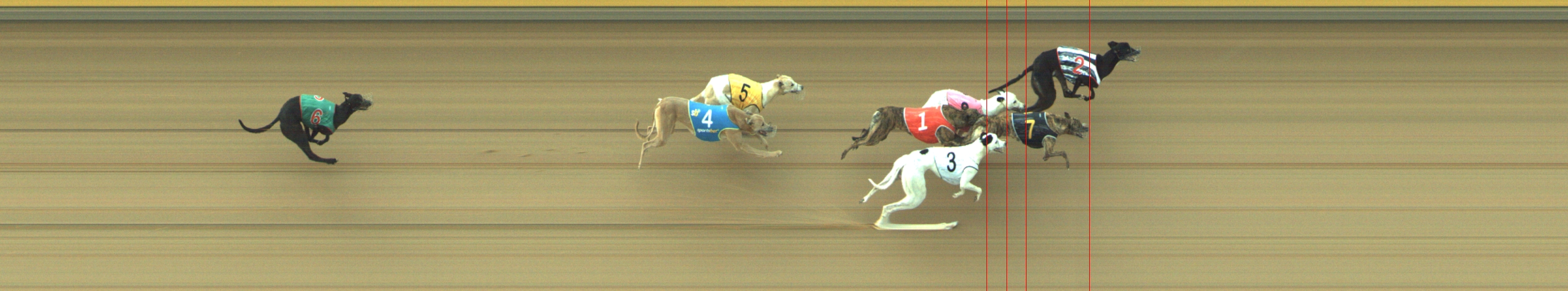 Photo finish for Geelong Race 7