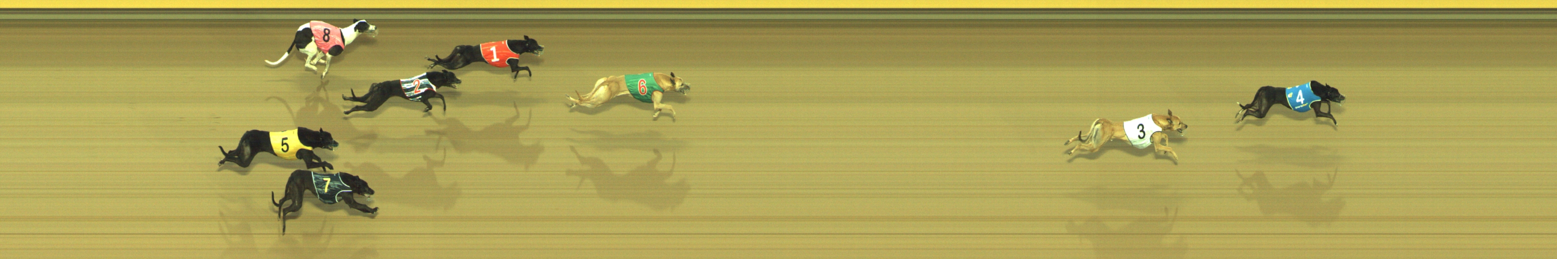 Photo finish for Geelong Race 8