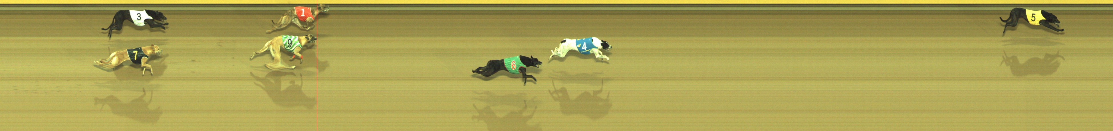 Photo finish for Geelong Race 9