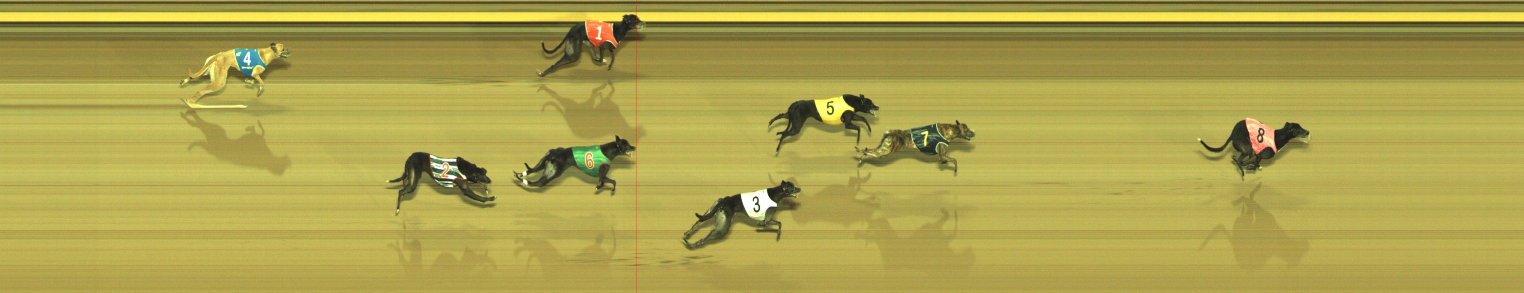 Photo finish for Geelong Race 10