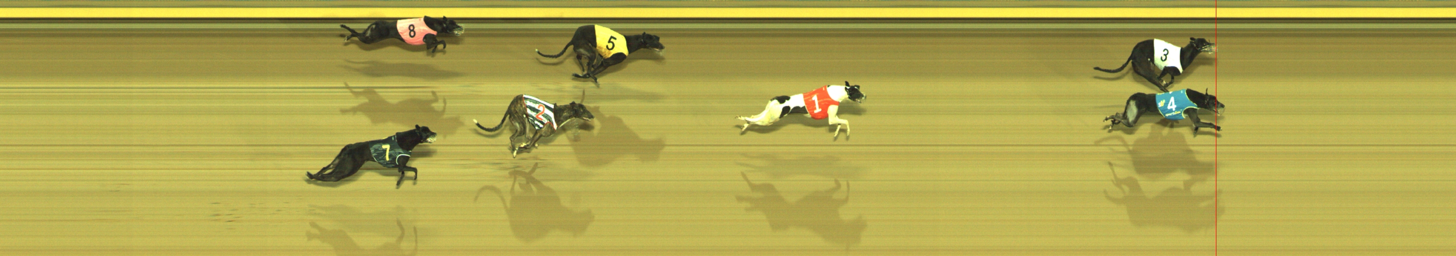 Photo finish for Geelong Race 11
