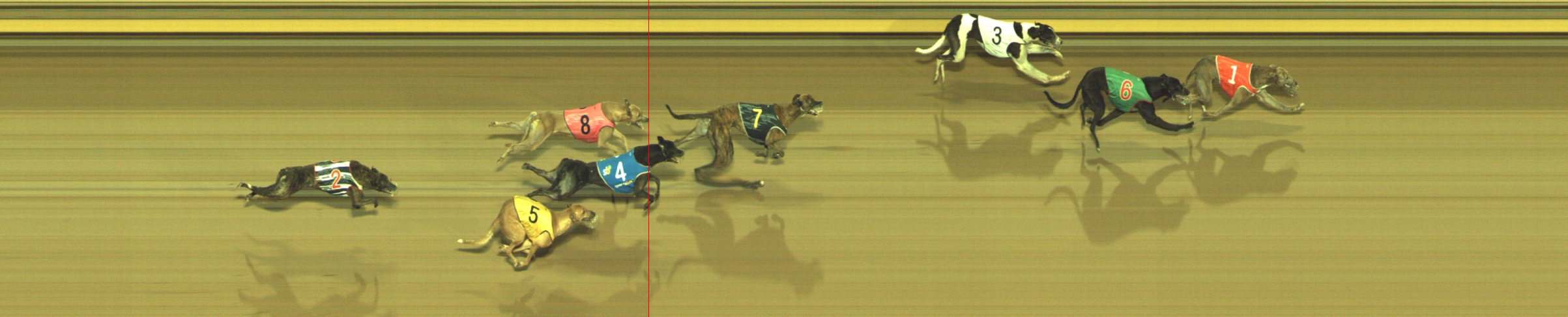 Photo finish for Geelong Race 12