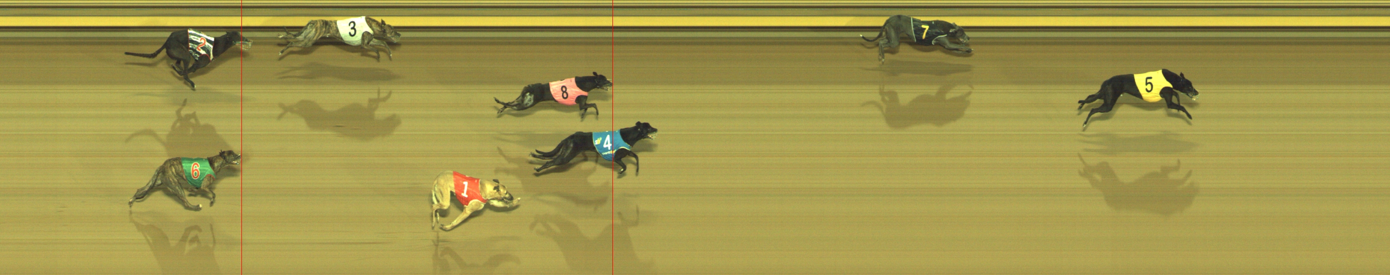 Photo finish for Geelong Race 13