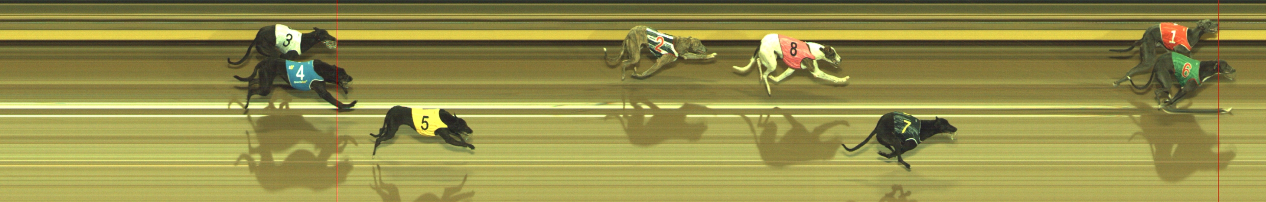 Photo finish for Geelong Race 2