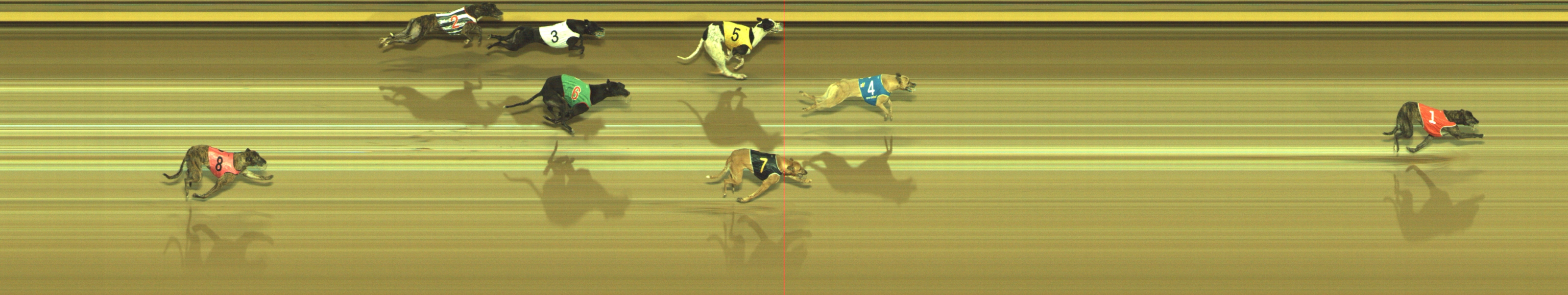 Photo finish for Geelong Race 3