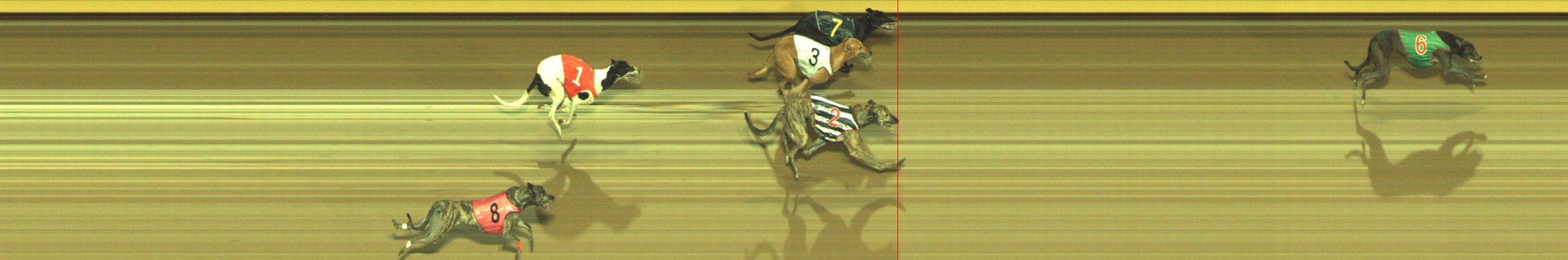 Photo finish for Geelong Race 4