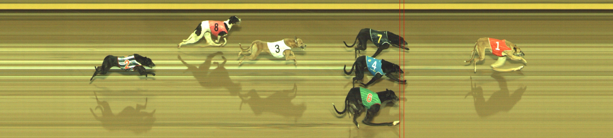 Photo finish for Geelong Race 5