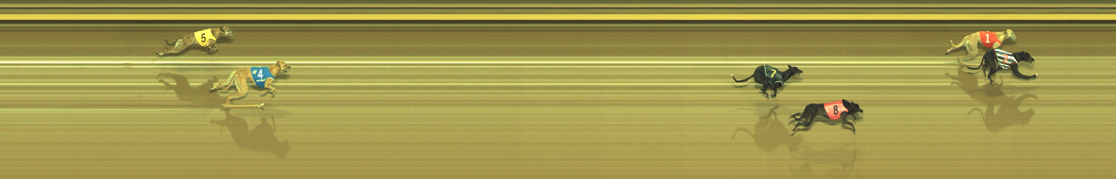 Photo finish for Geelong Race 6
