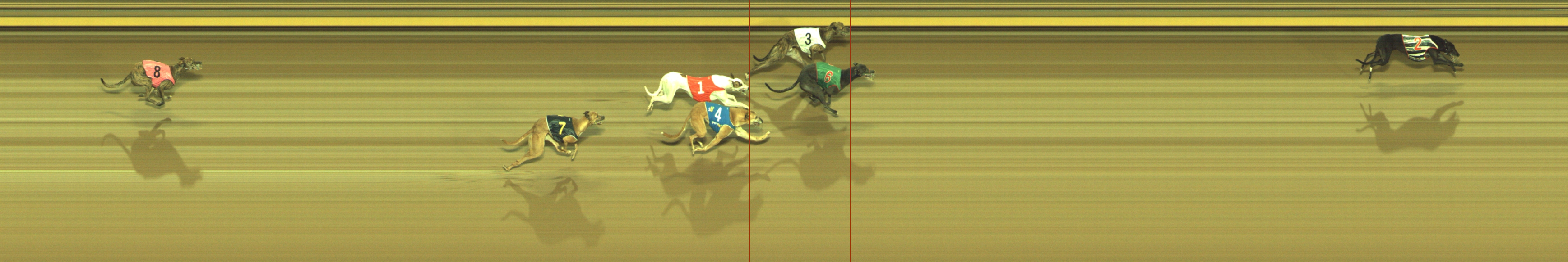 Photo finish for Geelong Race 7