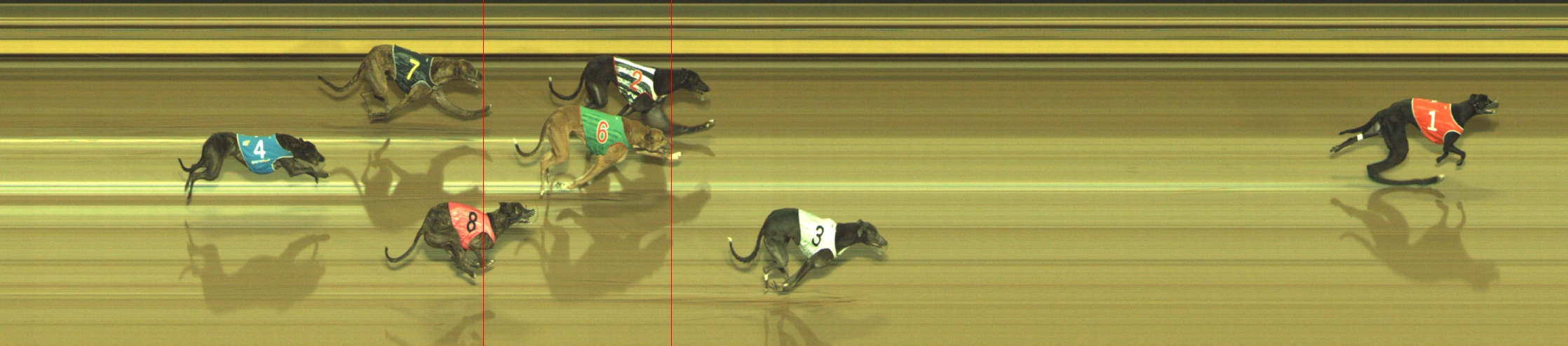 Photo finish for Geelong Race 8