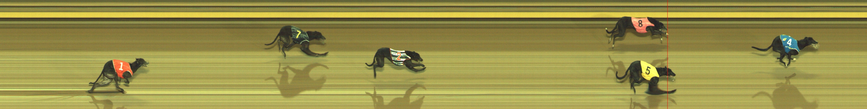 Photo finish for Geelong Race 9