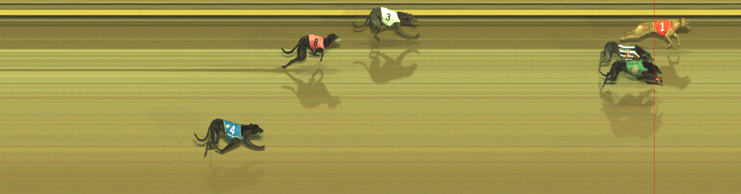 Photo finish for Geelong Race 10