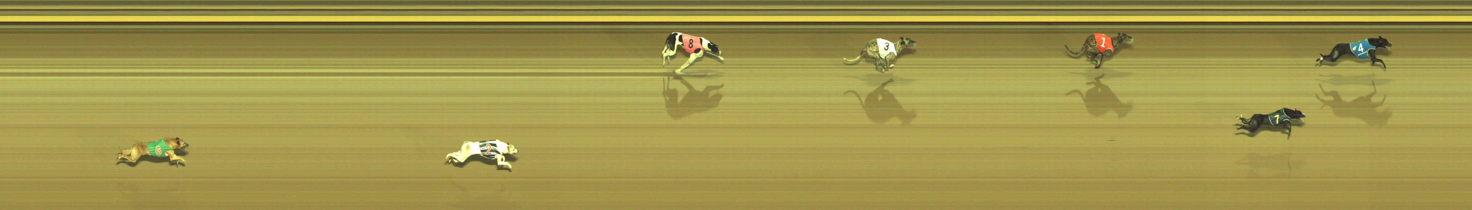 Photo finish for Geelong Race 12