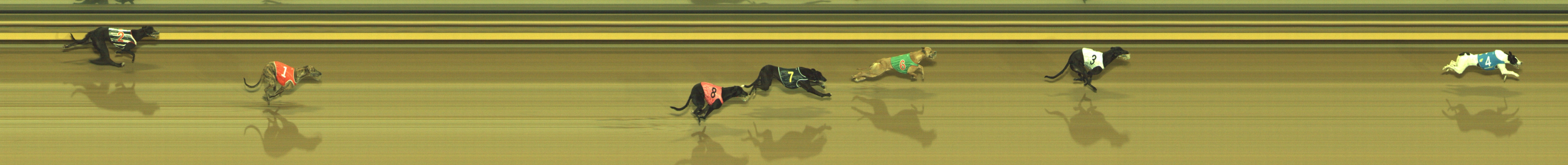 Photo finish for Geelong Race 1