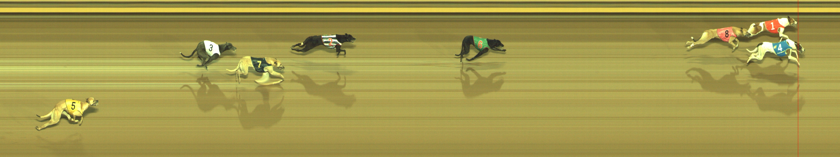 Photo finish for Geelong Race 2