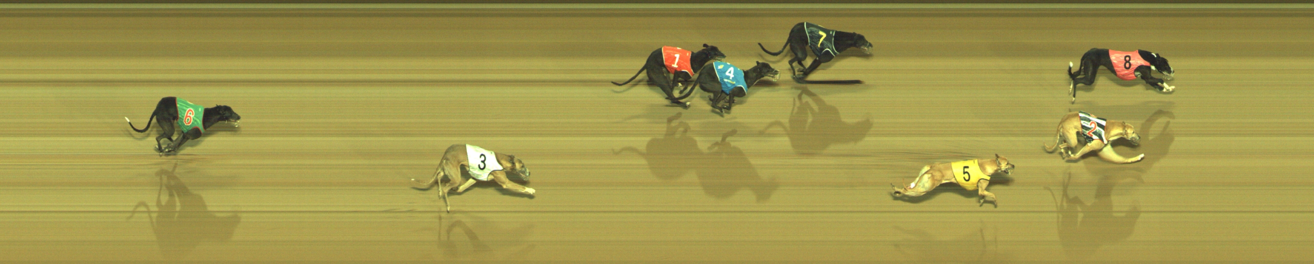 Photo finish for Geelong Race 3