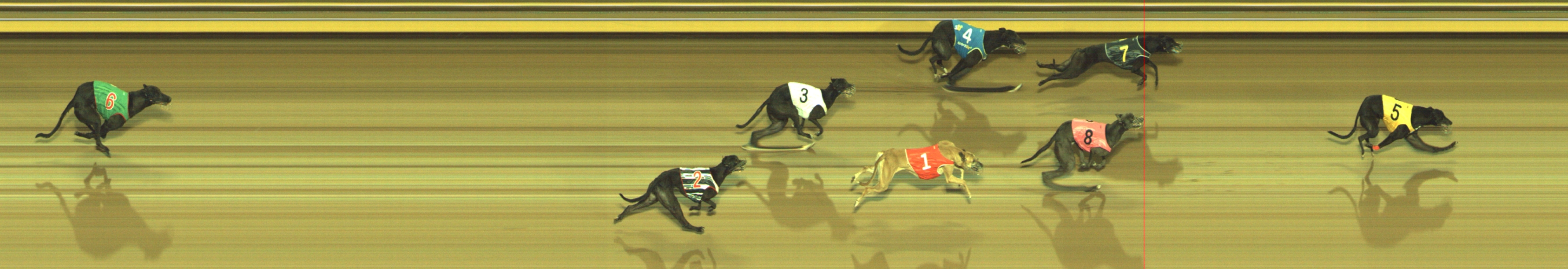 Photo finish for Geelong Race 4