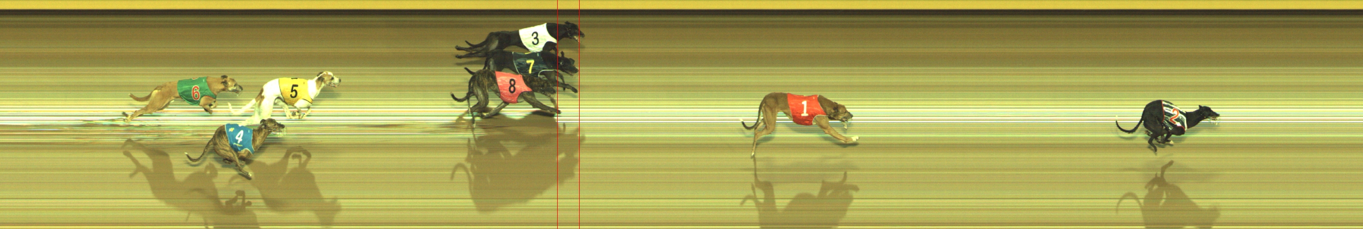 Photo finish for Geelong Race 5