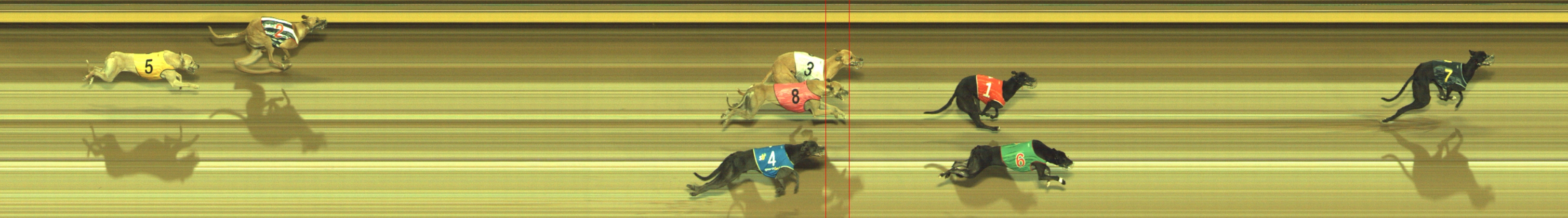 Photo finish for Geelong Race 6