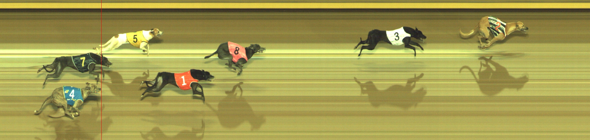 Photo finish for Geelong Race 7