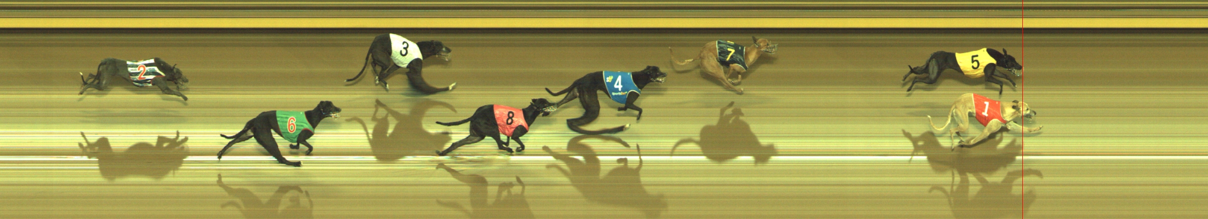 Photo finish for Geelong Race 8