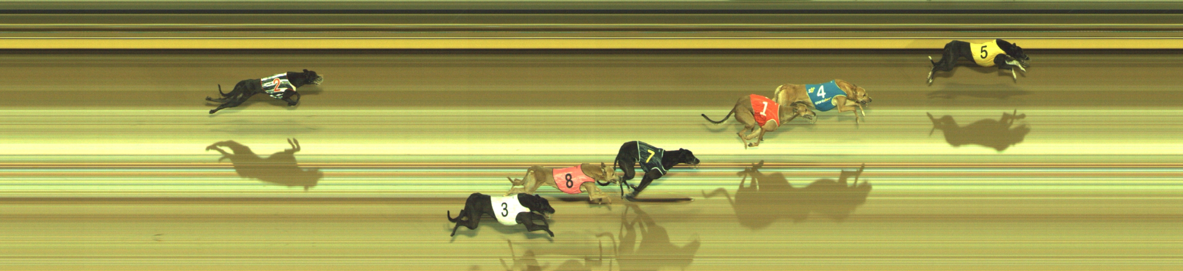 Photo finish for Geelong Race 9