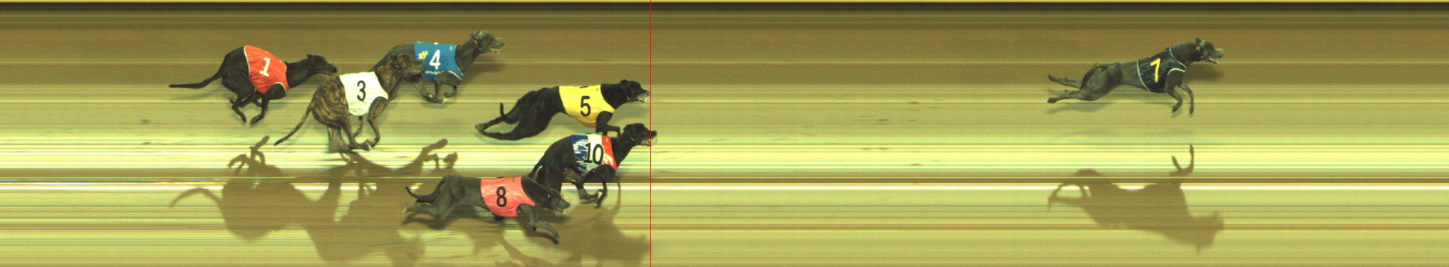 Photo finish for Geelong Race 10