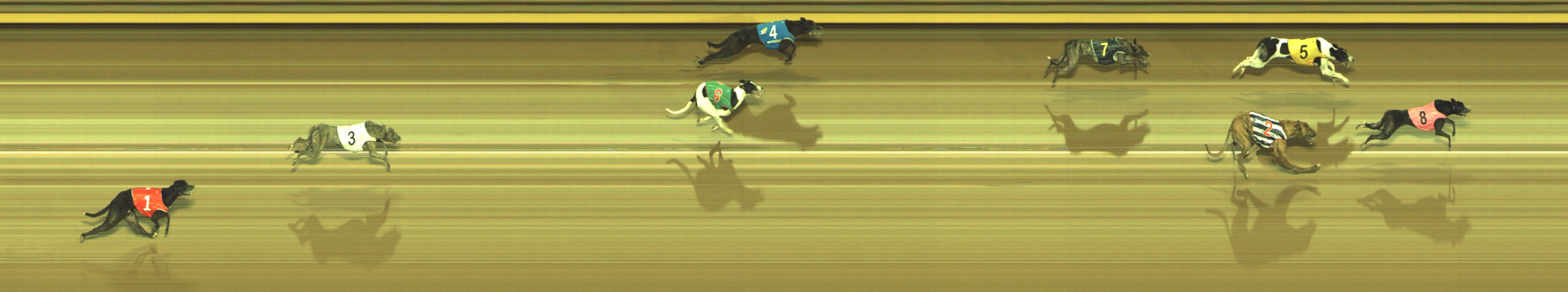 Photo finish for Geelong Race 11