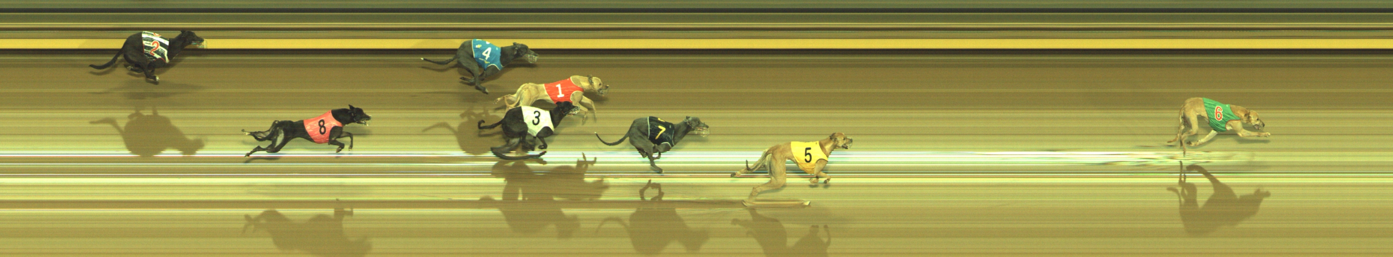 Photo finish for Geelong Race 12