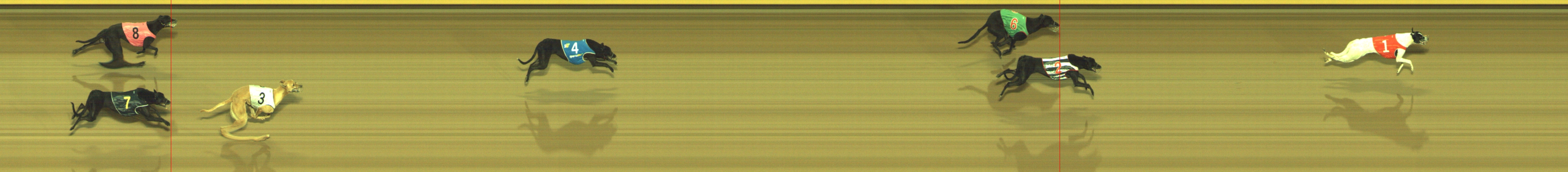 Photo finish for Geelong Race 1