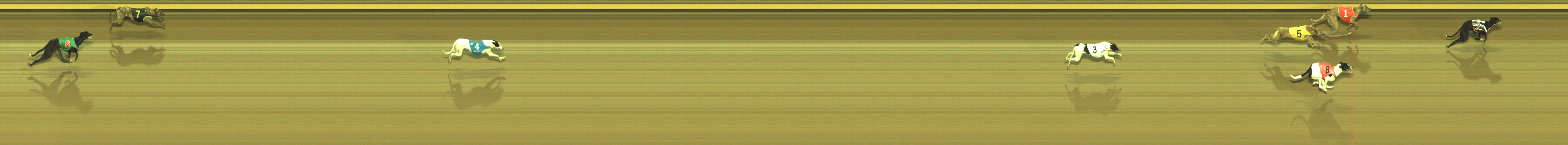 Photo finish for Geelong Race 2