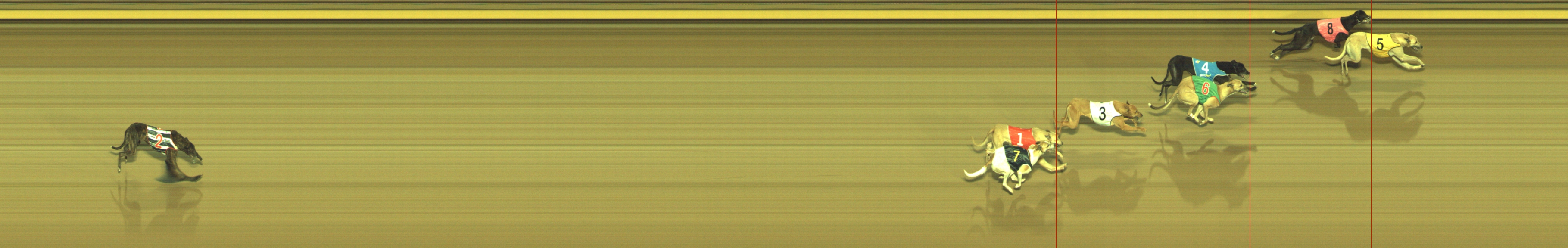 Photo finish for Geelong Race 3