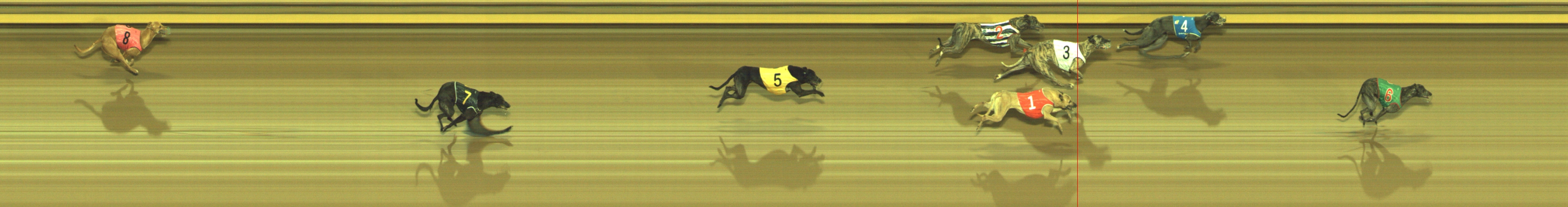 Photo finish for Geelong Race 4