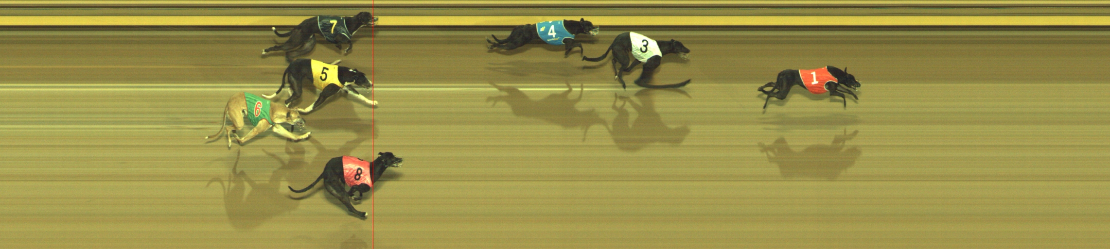Photo finish for Geelong Race 5
