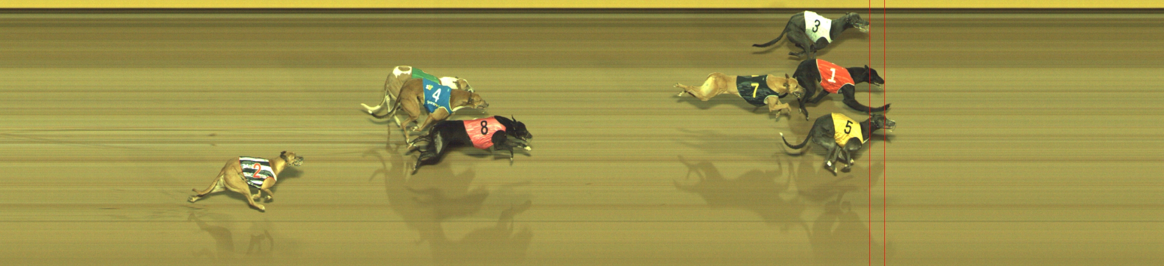 Photo finish for Geelong Race 6