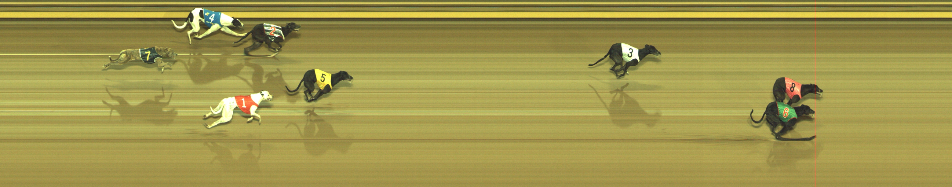 Photo finish for Geelong Race 7