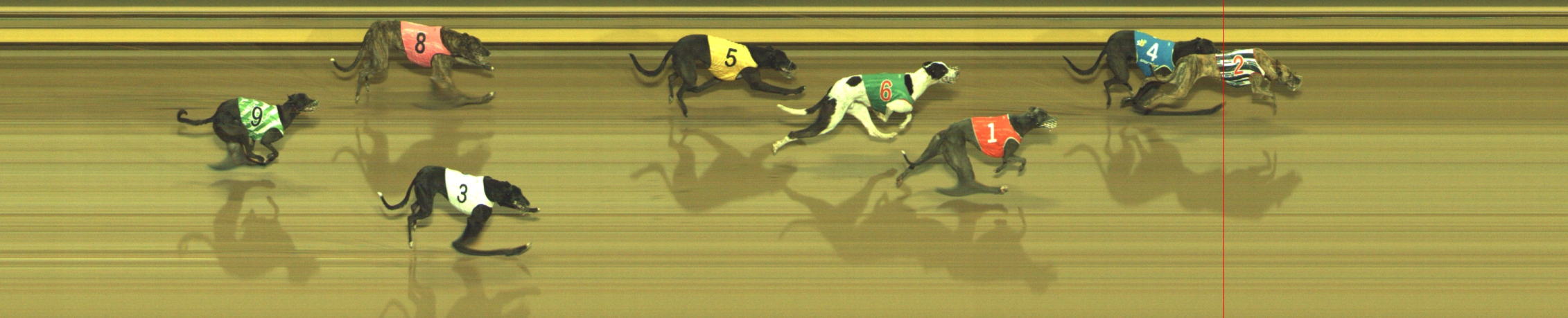 Photo finish for Geelong Race 8