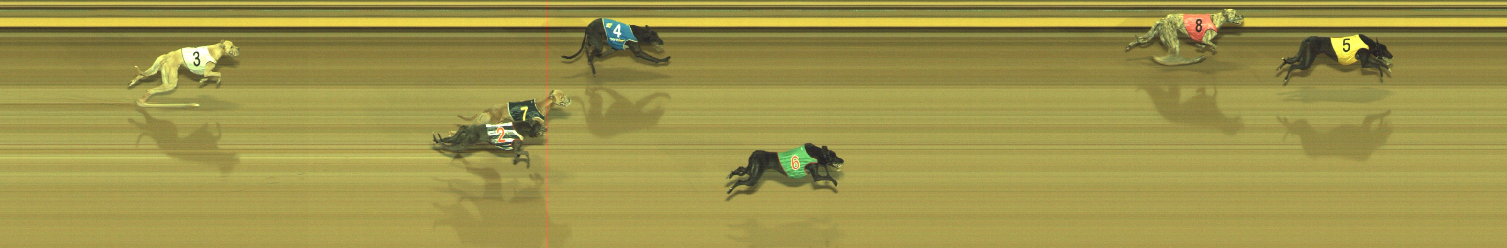Photo finish for Geelong Race 9
