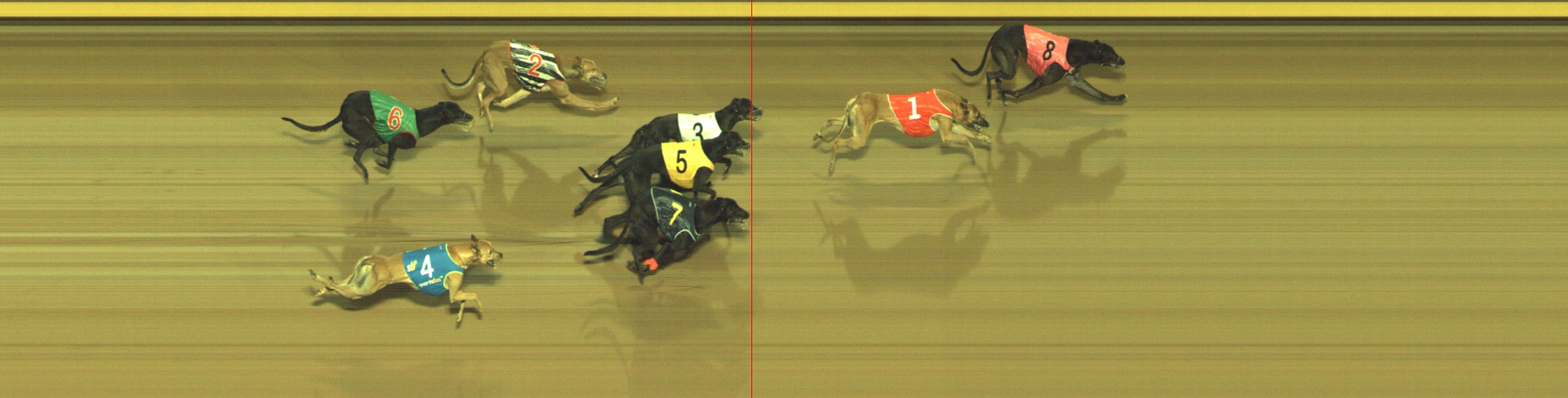 Photo finish for Geelong Race 10